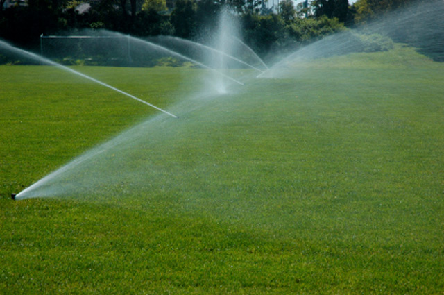 Comment bien arroser son jardin ?