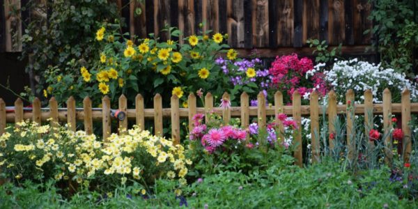 Où trouver une clôture jardin le moins cher ?