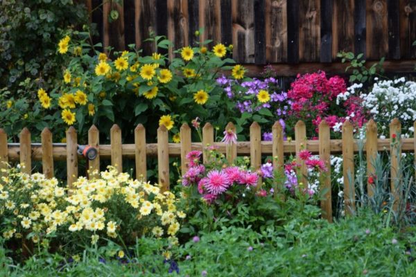 Où trouver une clôture jardin le moins cher ?